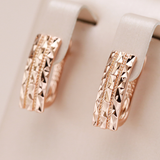 Elegante Ohrringe in Gold