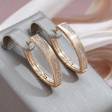 Strahlende Ohrringe in Gold mit Zirkonia